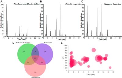 Global Analysis the Potential Medicinal Substances of Shuangxia Decoction and the Process In Vivo via Mass Spectrometry Technology